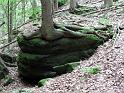 2010-06-12, Uttewalder Grund (26)
